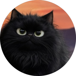 Eine schwarze Katze schaut aufmerksam
